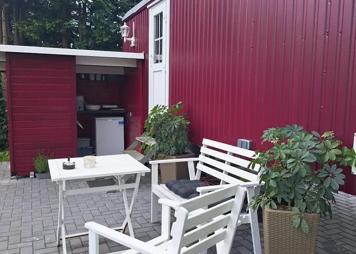 Rhumeblume Rudershausen