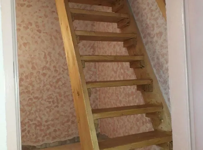 Rhumeblume * Rudershausen